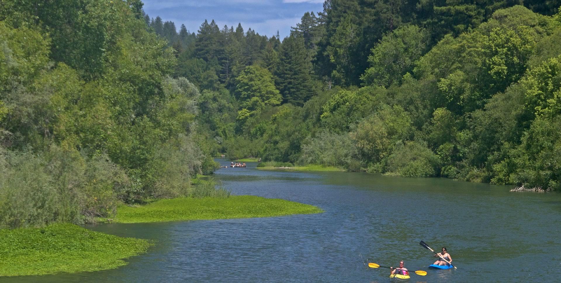 Kayakers on the Russian River below the redwoods