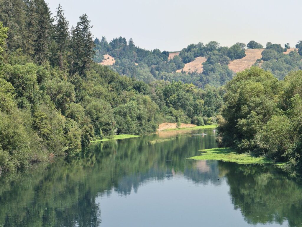 The Russian River winding through redwood country in West Sonoma County